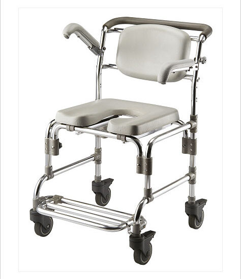 silla inodoro