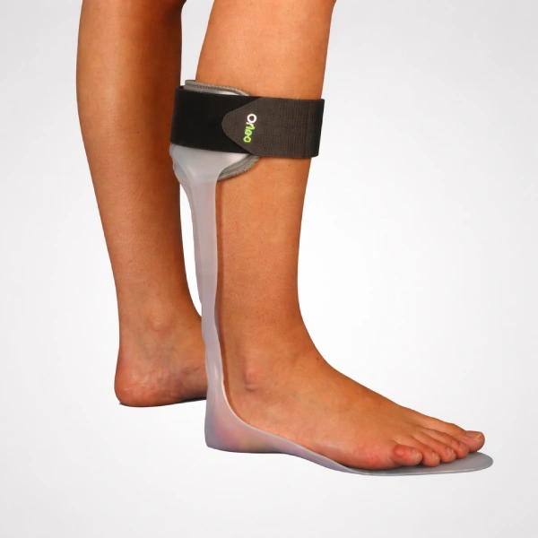 antiequino de planta entera